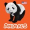 Animals & Animal Sounds Kids Toddlers Zoo App US-P