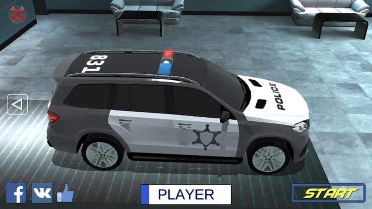 Luxury Police Car