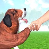 Animal Shelter Dog Rescue Game