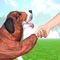 Icon Animal Shelter Dog Rescue Game