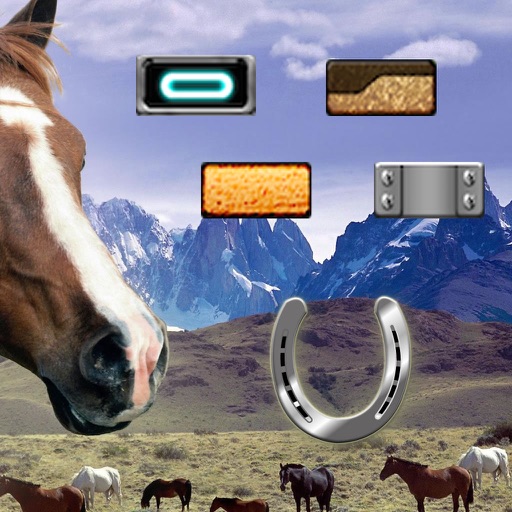 A Horseshoe Destroying Blocks icon