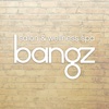 Bangz Salon Team App