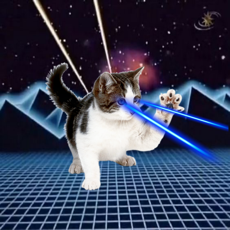 Activities of Laser Cats!