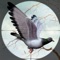 Gun Shooter Spy Pigeon Wargames