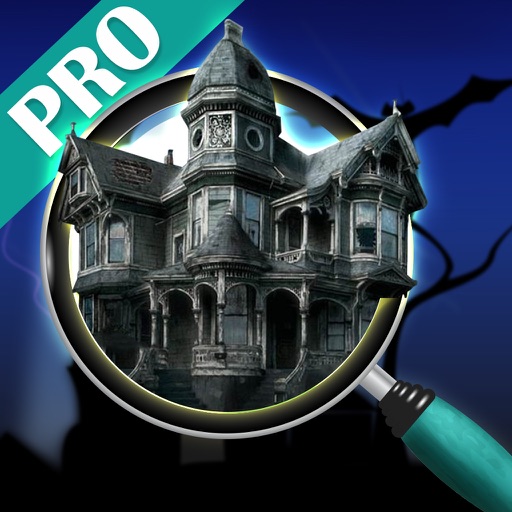 Hidden object: the silent town pro icon