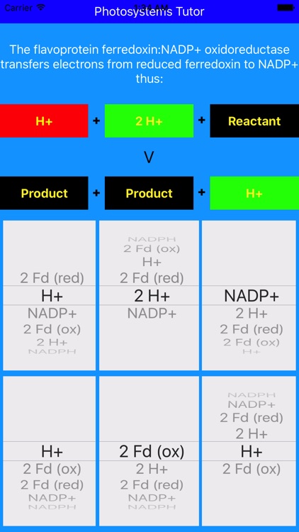 Photosystems Tutor