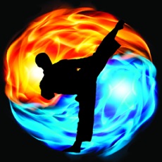 Activities of Taekwondo Martial Art HD Wallpapers