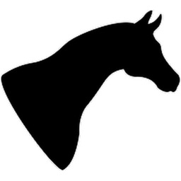 Horse Two Sticker Pack