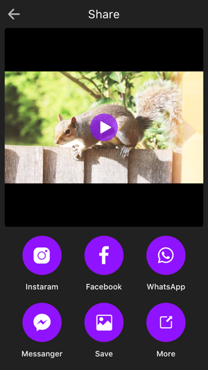 Video Filters Manager - Great Video Effects(圖3)-速報App