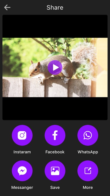 Video Filters Manager - Great Video Effects