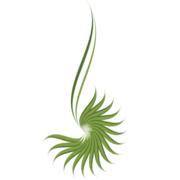 Al Rahma