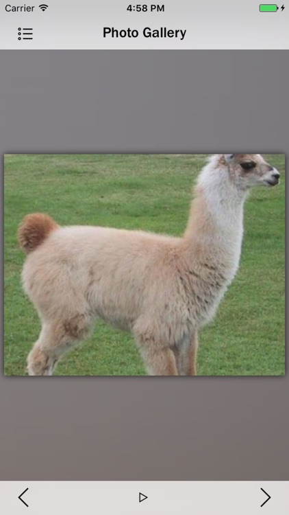 Animals Collection Pro screenshot-3