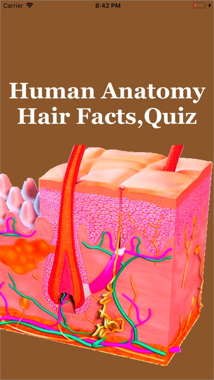 Human Anatomy Hair Facts,Quiz