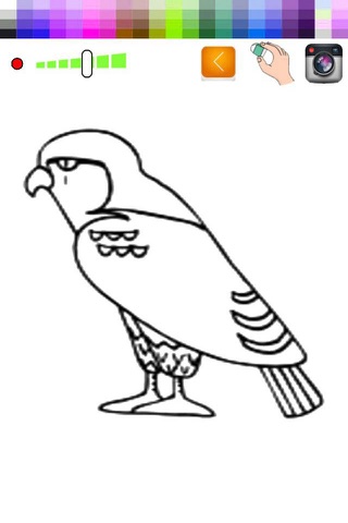 Animals Coloring Pages for Kids Bird & zoo screenshot 2