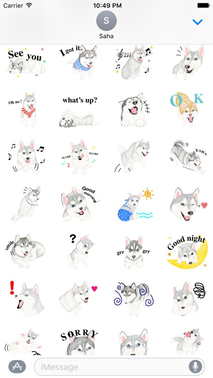 Lovely Husky Dog Stickers