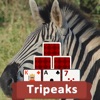 TriPeaks Wild Animals - iPhoneアプリ