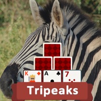 TriPeaks Wild Animals