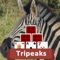 Beautiful addicting 3D TriPeaks pyramid solitaire games to captivate you