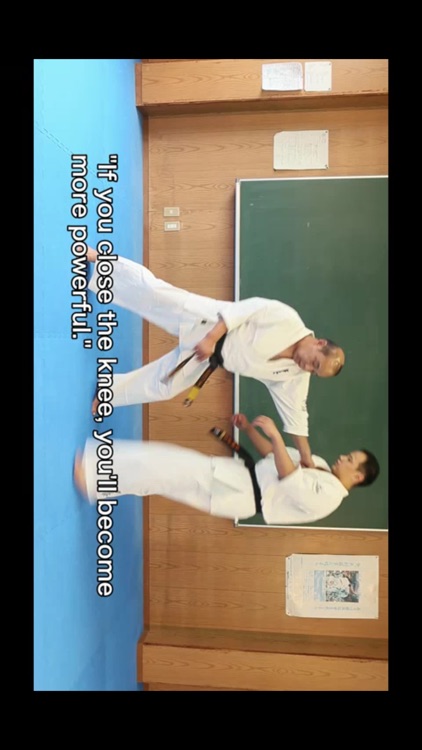 KYOKUSHIN KARATE TO WIN EN 2