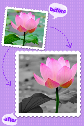 Color Editor - Photo Recolor & Background Eraser screenshot 4