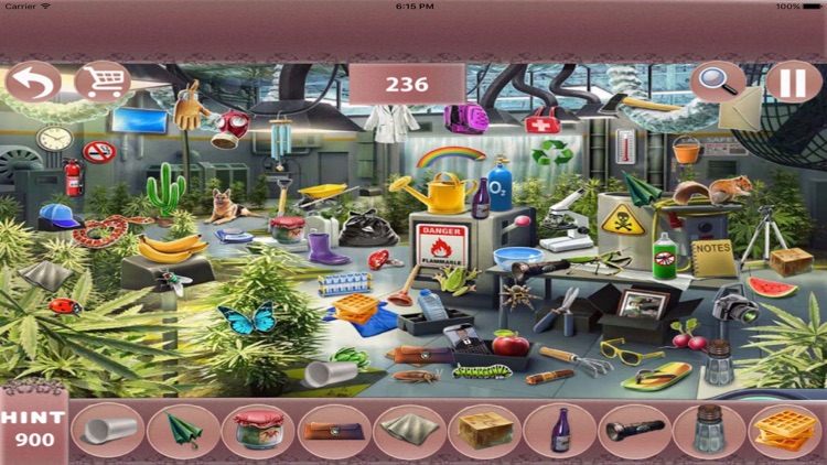 Hidden Objects : Second Assistant screenshot-4