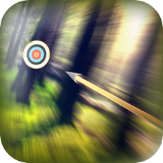 Activities of Bow Hunting Master 3D