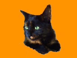 Animated cats for your sticker collection