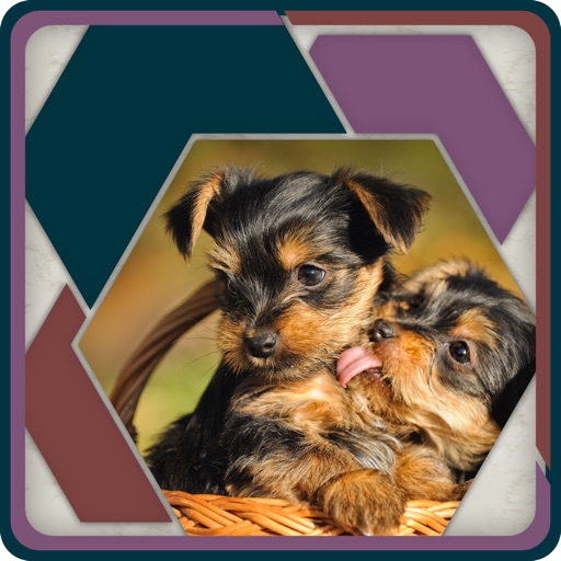 HexSaw - Puppies icon