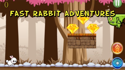 Fast Rabbit Adventures screenshot 1