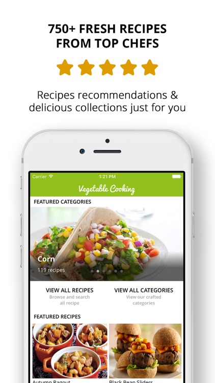Healthy Vegetarian Recipes | Cooking Guide