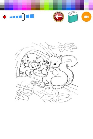 Animals Chipmunk - Colorings Book for Children screenshot 2