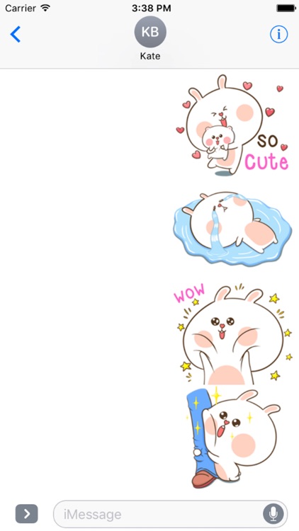 Fluffy Rabbit Love