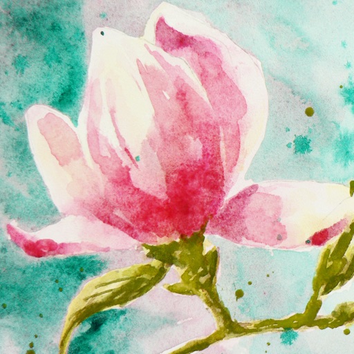 Magnolia Wallpapers HD- Quotes and Art Pictures icon