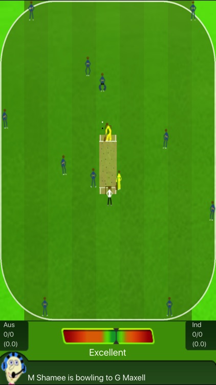 The Best Cricket Game Ever screenshot-0