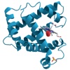 Directory of enzymes