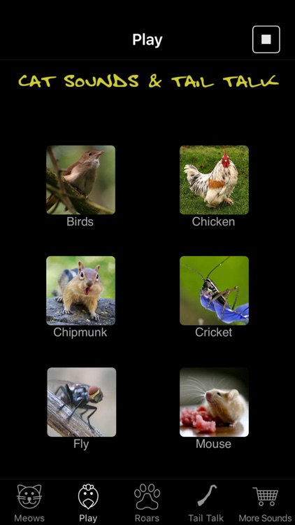 Cat Sounds & Tail Talk screenshot-3