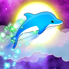 Activities of Pocket Dolphin Racing