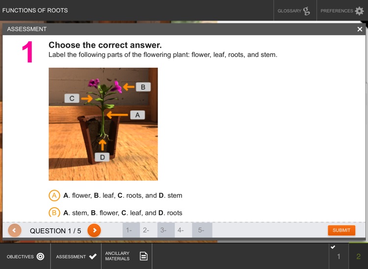 Functions of Roots screenshot-4