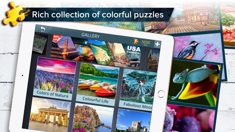 Cool Jigsaw Puzzles