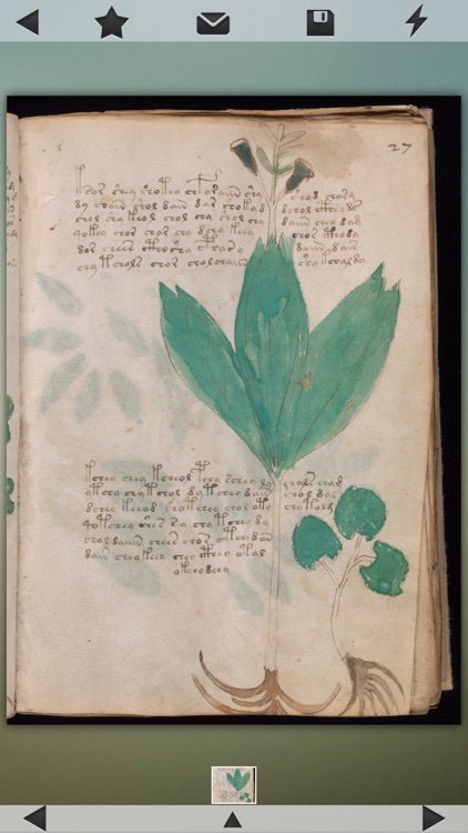 Voynich Manuscript!