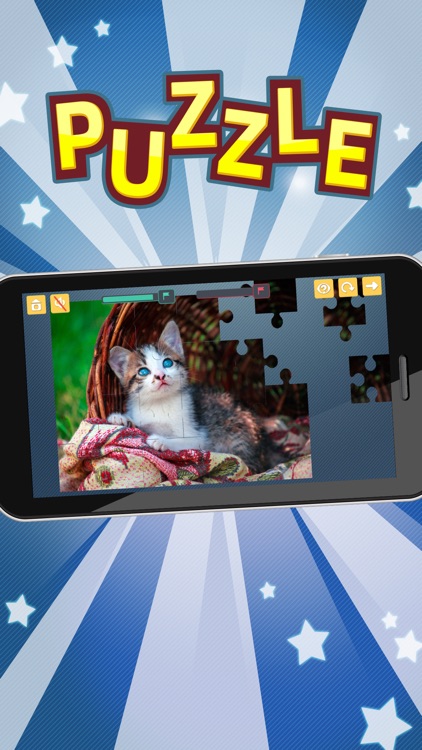 Cats Jigsaw Puzzles. Premium