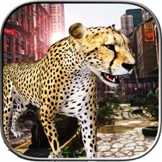 Activities of Ultimate Cheetah Rampage