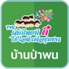 TYC บ้านป่าพน