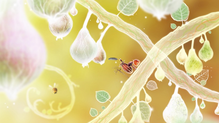 Botanicula screenshot-4