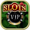 WIld Slots -- Christmas Spirit Free Vegas Game