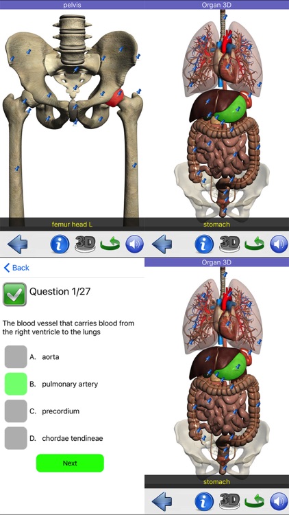 Visual Anatomy screenshot-4