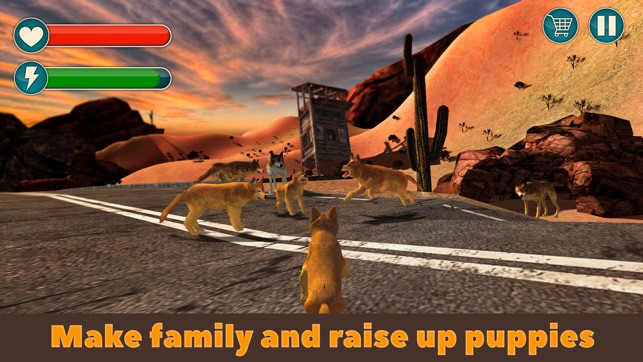 Wild Dingo Dog Survival Simulator 3D(圖3)-速報App