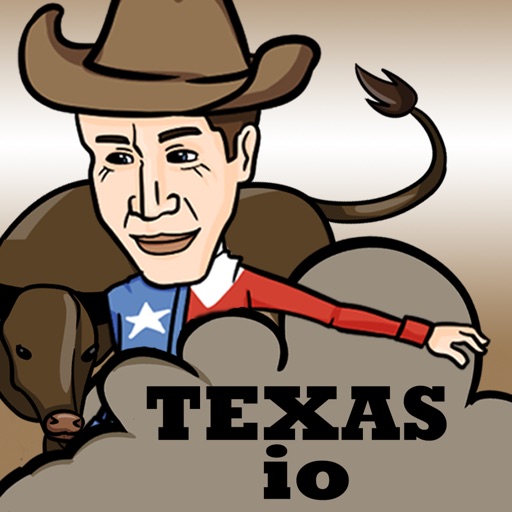 Texas io icon