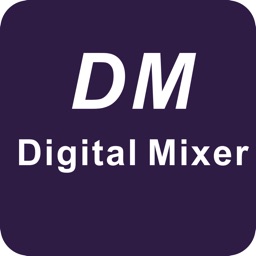 DM-Mixer