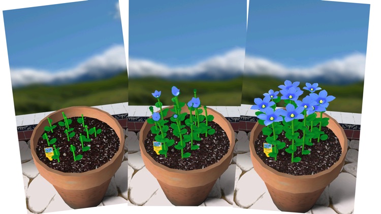 Flower Garden - Grow Flowers and Send Bouquets